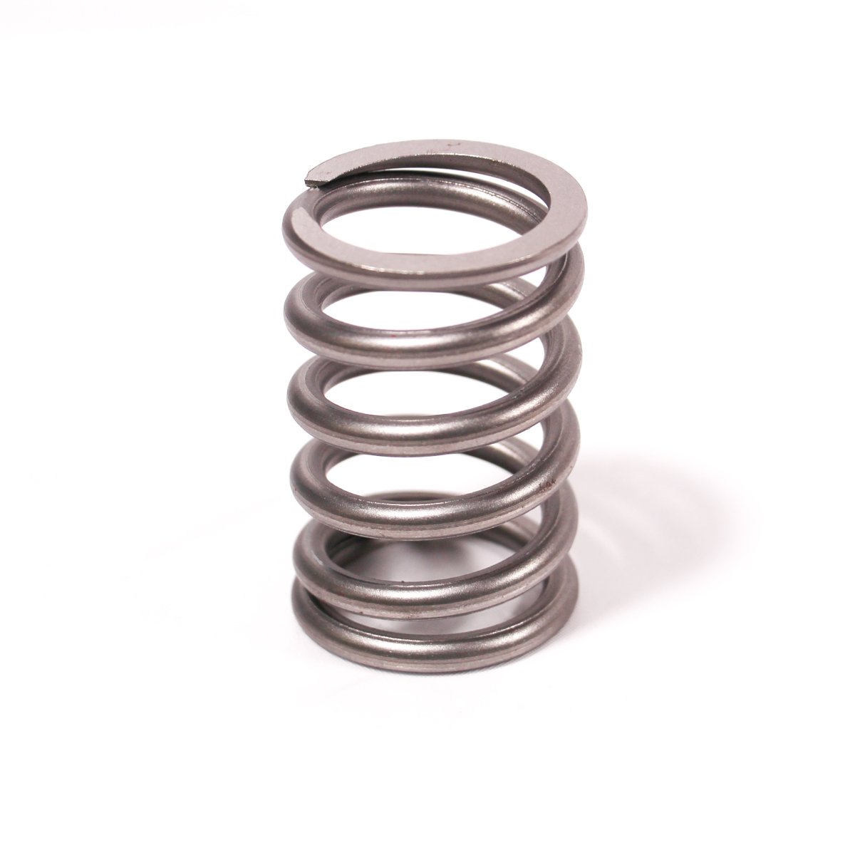 VALVE SPRING