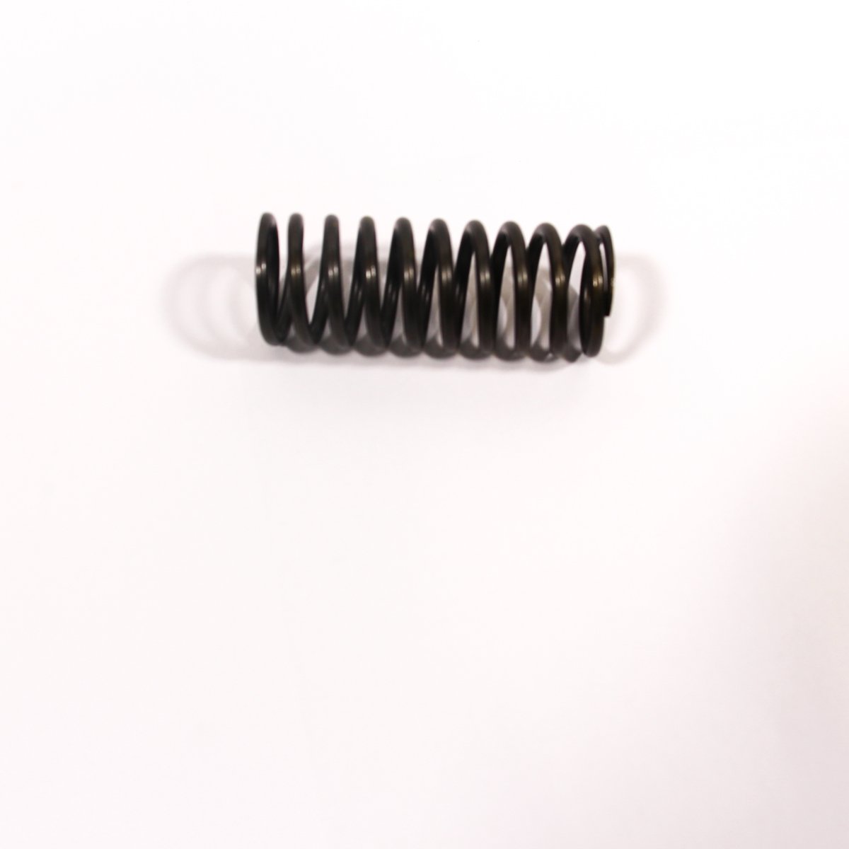 VALVE SPRING - INLET/EXHAUST