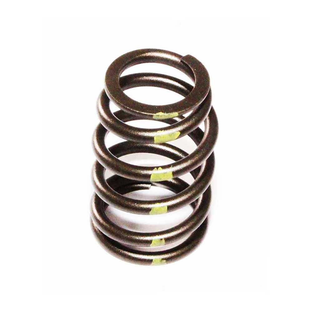 VALVE SPRING