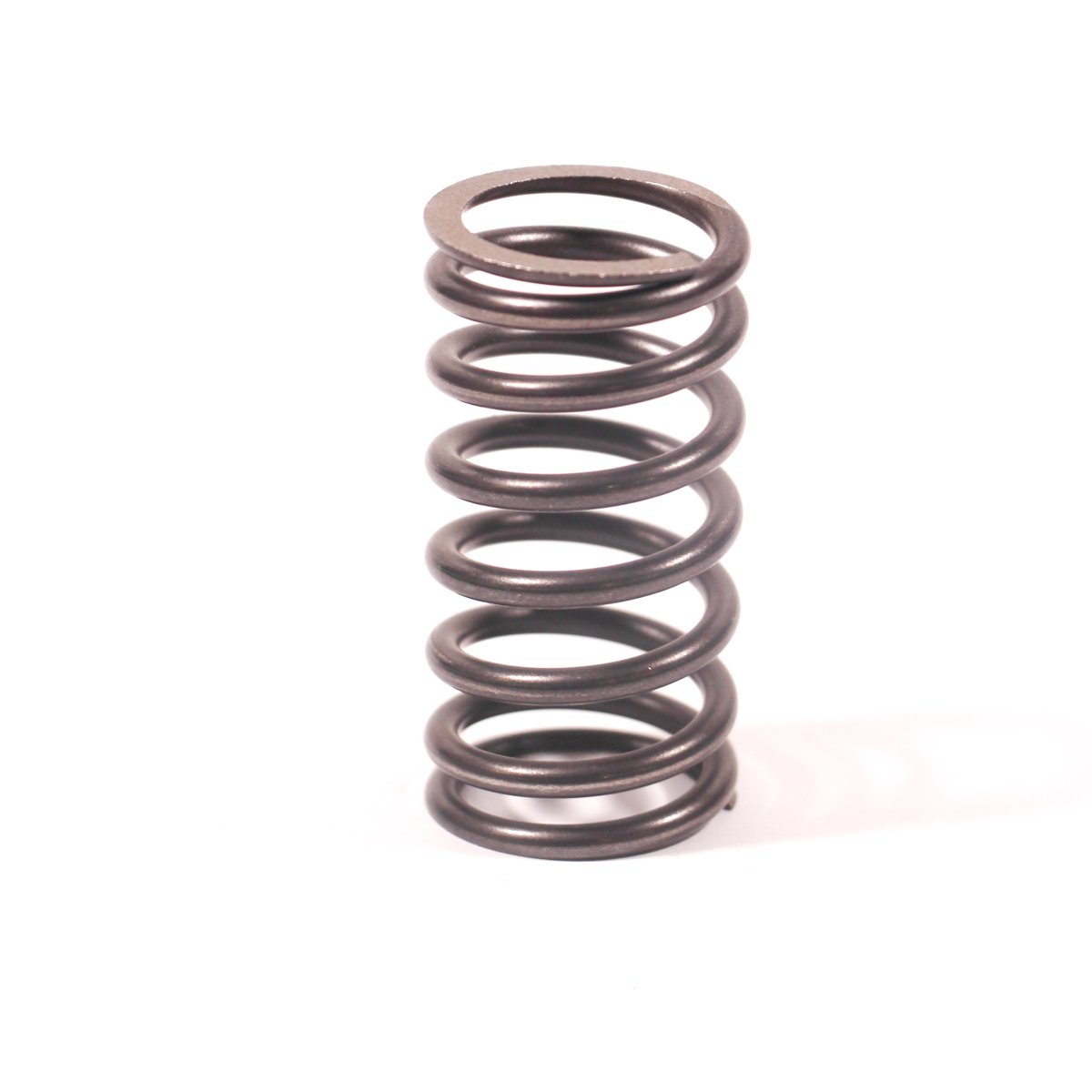 VALVE SPRING
