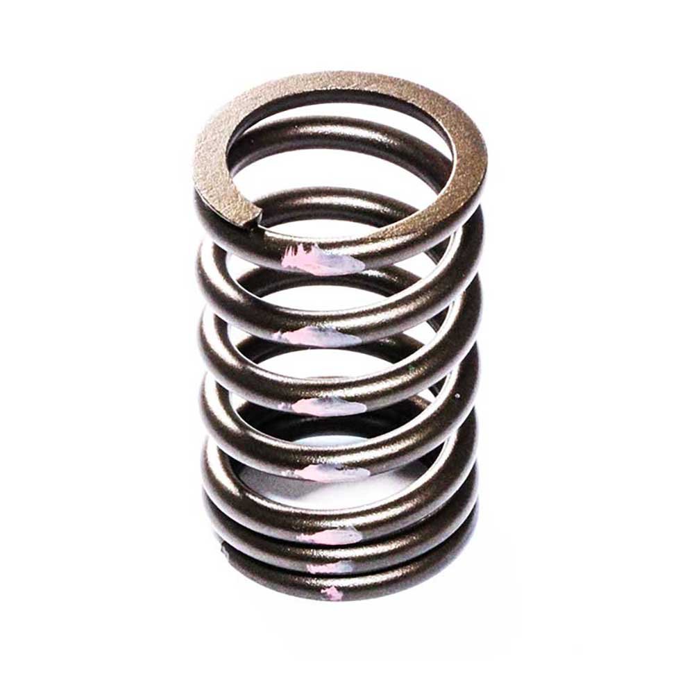 VALVE SPRING